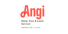 tree-removal-contractor-angi-top-rated