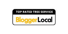 tree-service-kansas-city-e1736695940429