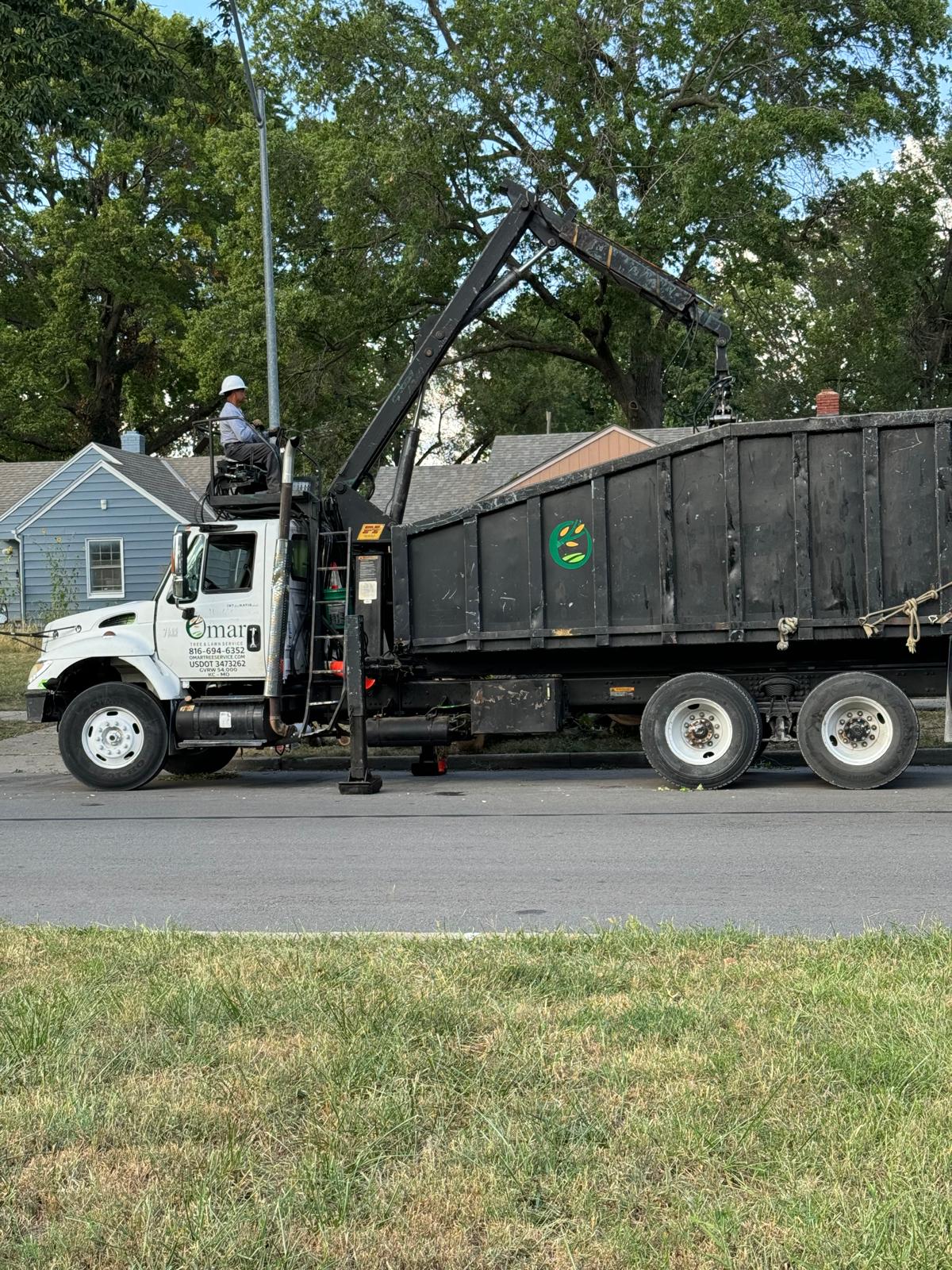 KC Omar tree services doing their job. Overland park tree service